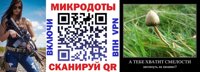 Галлюциногенные грибы Cubensis  Кораблино 